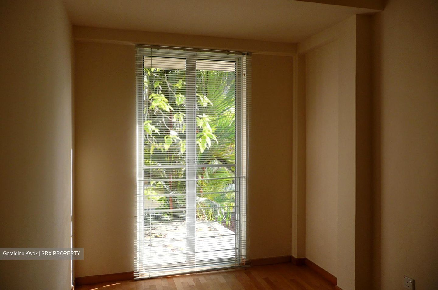 Kimsia Park (D9), Terrace #291152931